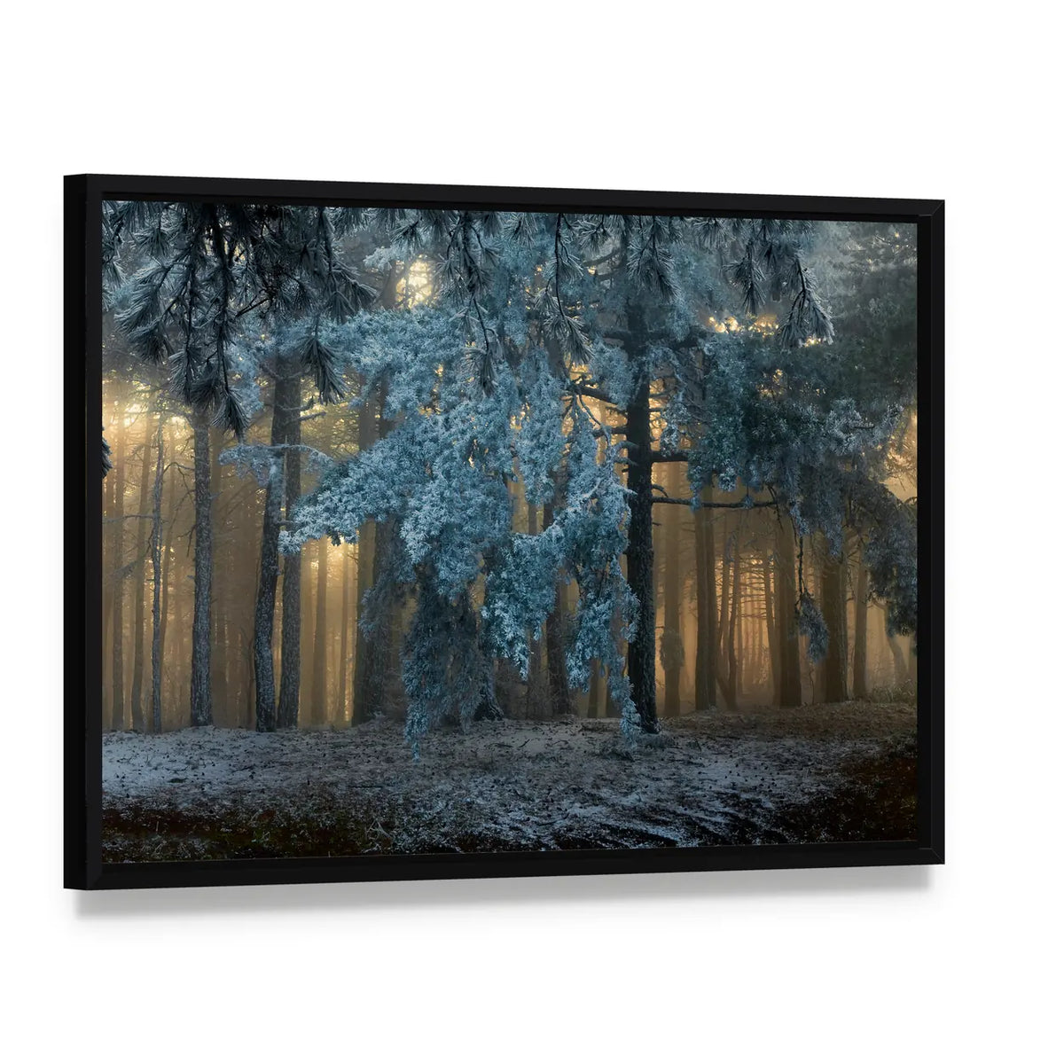 Fog In The forest In Uludag Turkey Canvas Wall Art, framed canvas in a black floater frame, angled product view