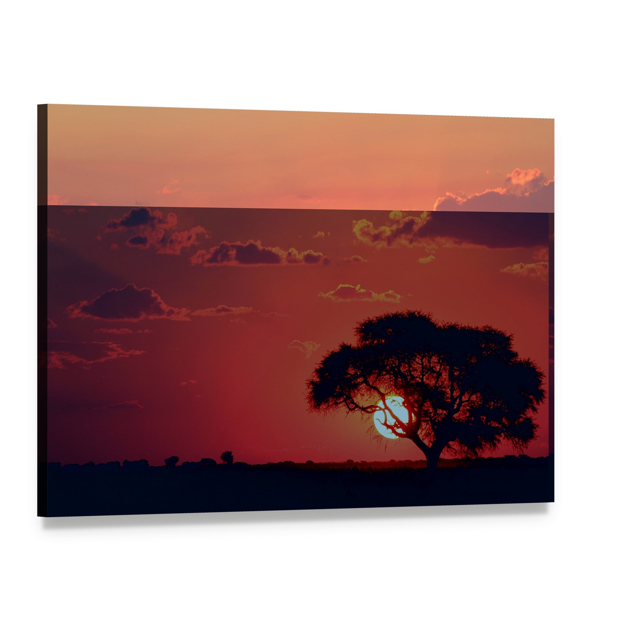 Savanna Sunset with Silhouetted Tree Canvas Wall Art, single panel gallery wrapped canvas, angled product view