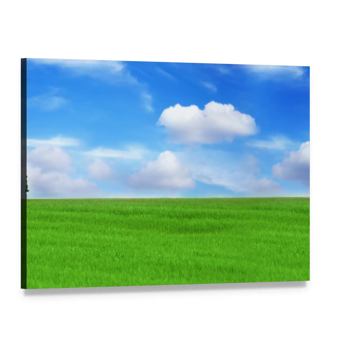 Lone Tree in Vibrant Green Field Canvas Wall Art, single panel gallery wrapped canvas, angled product view