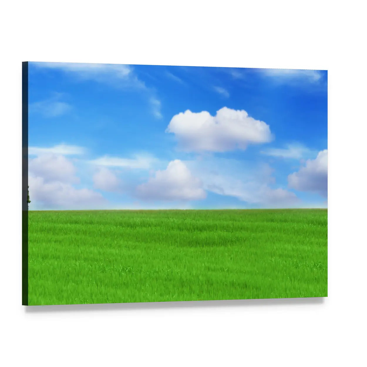 Lone Tree in Vibrant Green Field Canvas Wall Art, single panel gallery wrapped canvas, angled product view