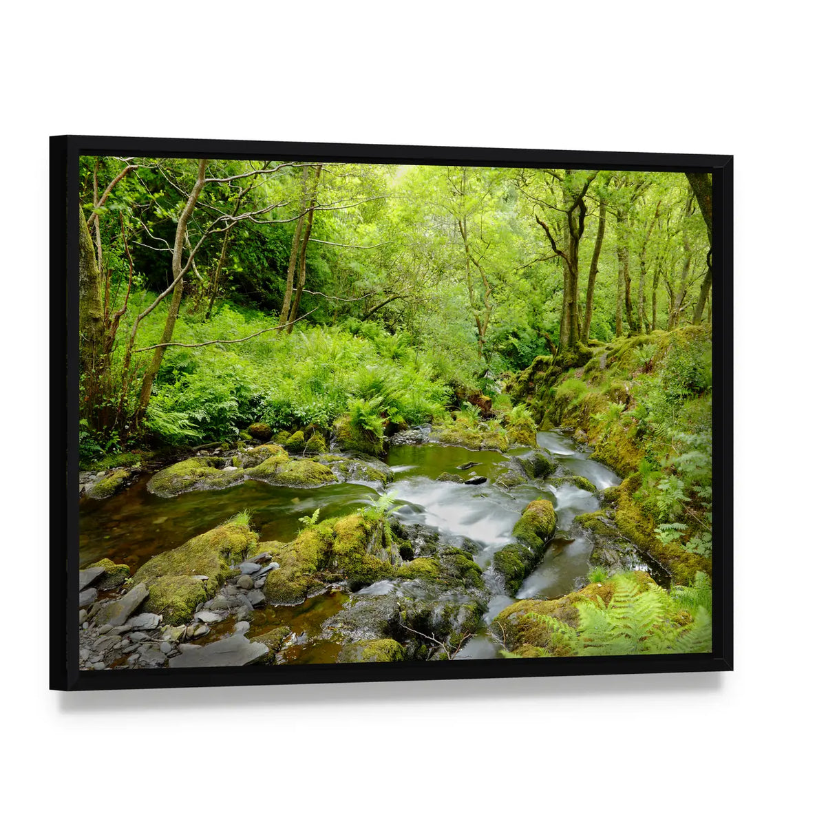 Dolgoch Falls In Wales UK Canvas Wall Art, framed canvas in a black floater frame, angled product view
