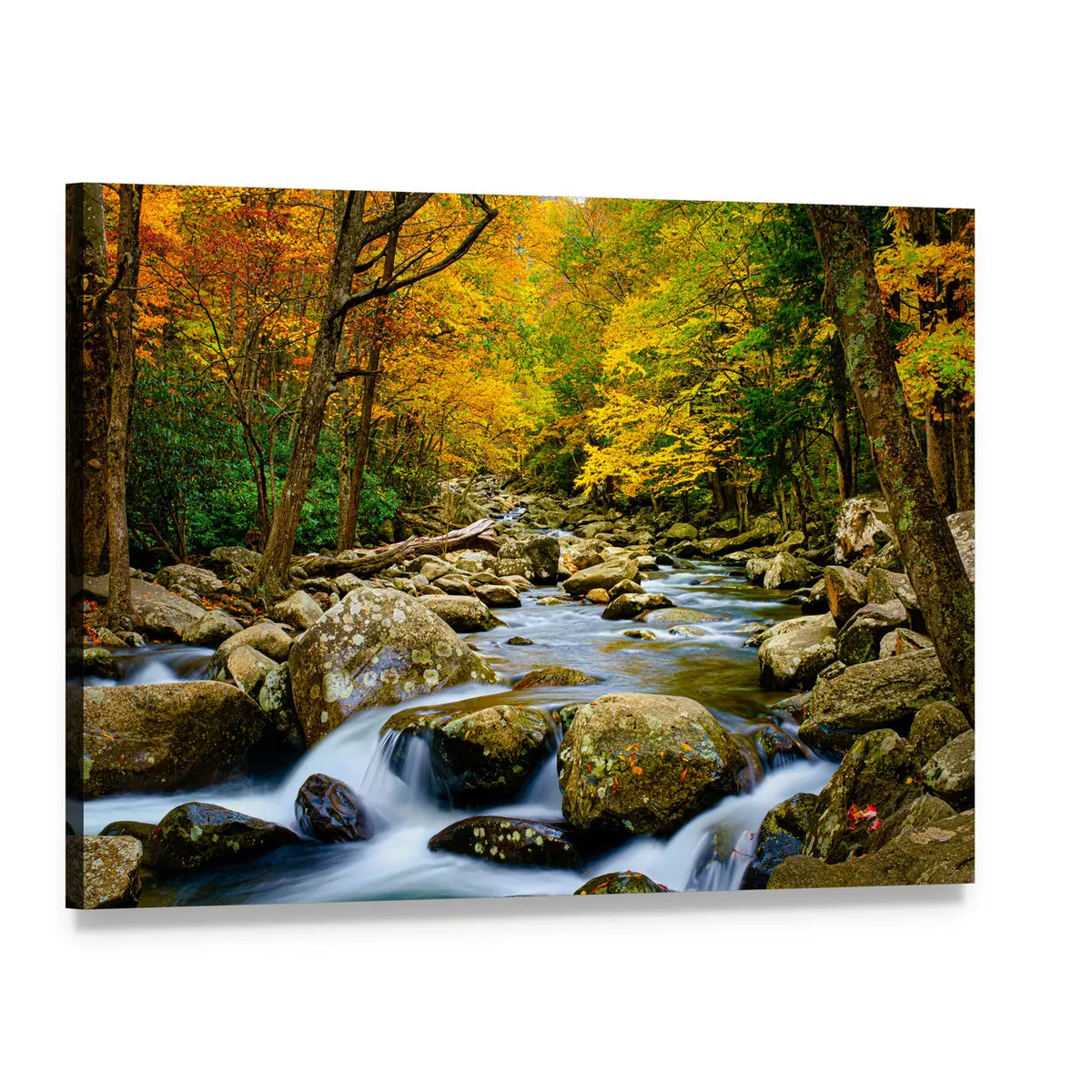 Rushing Stream in Great Smokey Mountains Canvas Wall Art, single panel gallery wrapped canvas, angled product view