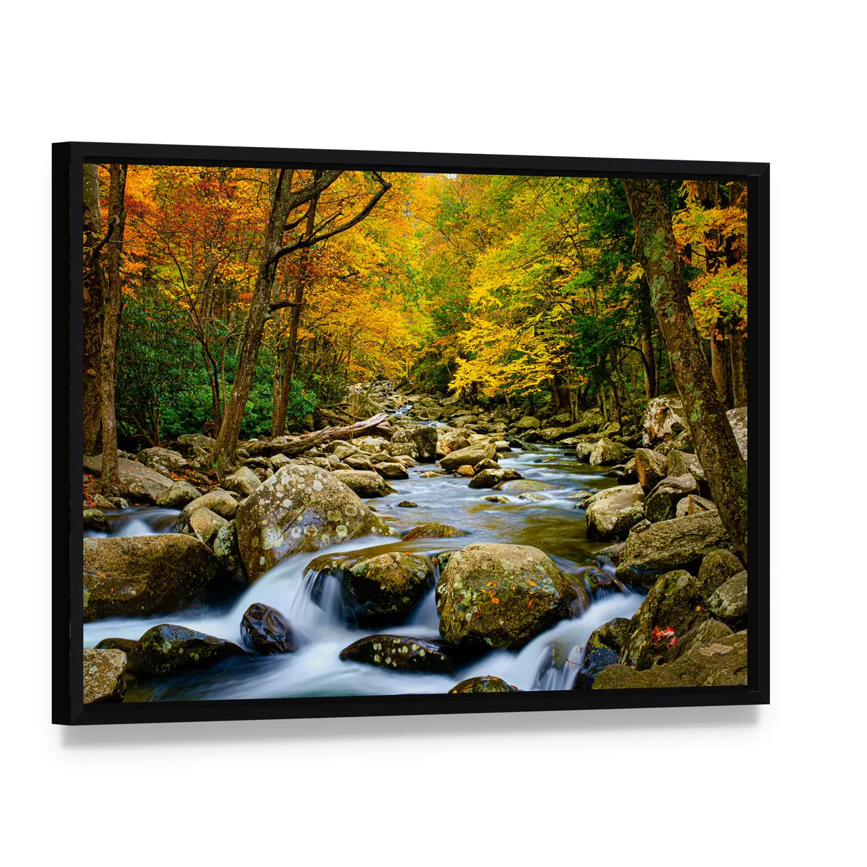 Rushing Stream in Great Smokey Mountains Canvas Wall Art, framed canvas in a black floater frame, angled product view