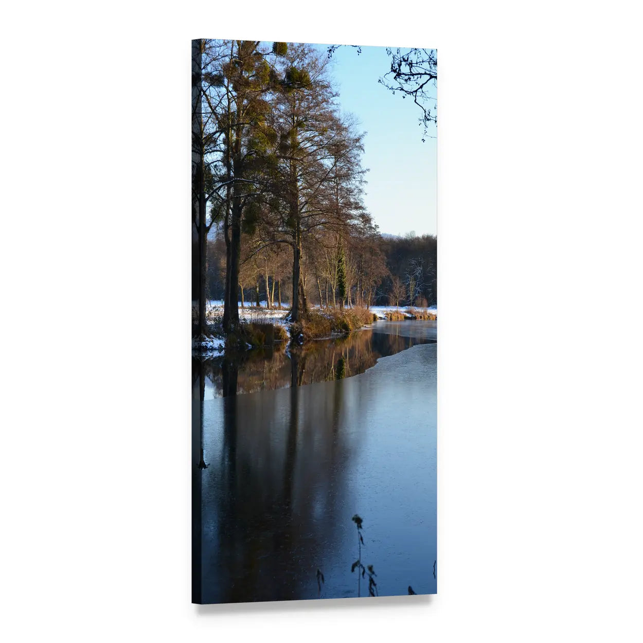 Black Forest in Winter, Germany Vertical Canvas Wall Art, 1 panel 1 Vertical layout gallery wrapped canvas set, angled product view