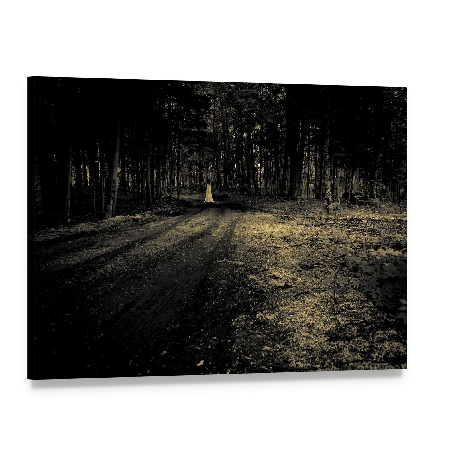 Haunted Roadside Area Canvas Wall Art, single panel gallery wrapped canvas, angled product view