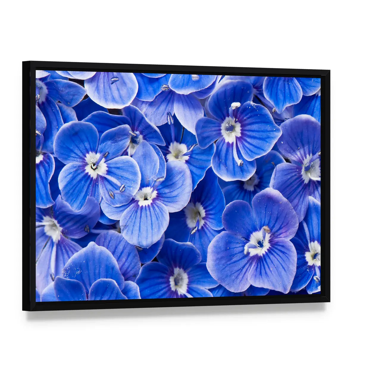 Blue Flowers Canvas Wall Art, framed canvas in a black floater frame, angled product view