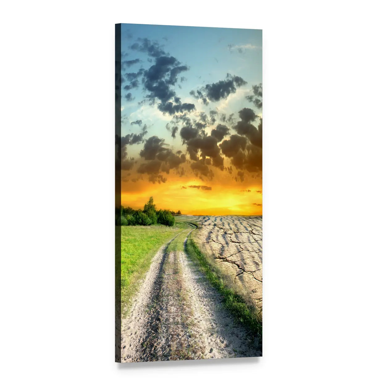 Drought and Green Field at Sunset Vertical Canvas Wall Art, 1 panel 1 Vertical layout gallery wrapped canvas set, angled product view
