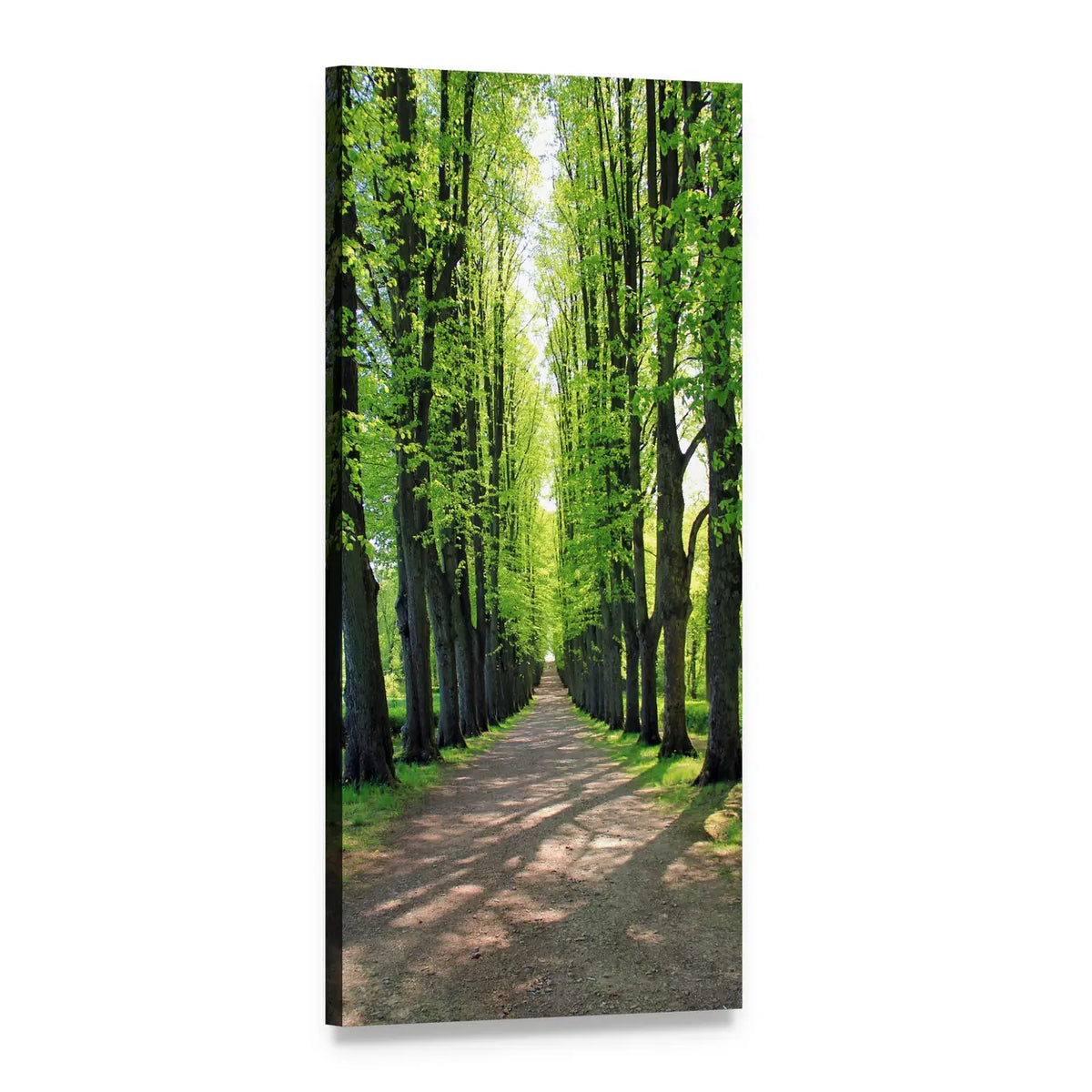 Road Between Avenue Trees Vertical Canvas Wall Art, 1 panel 1 Vertical layout gallery wrapped canvas set, angled product view