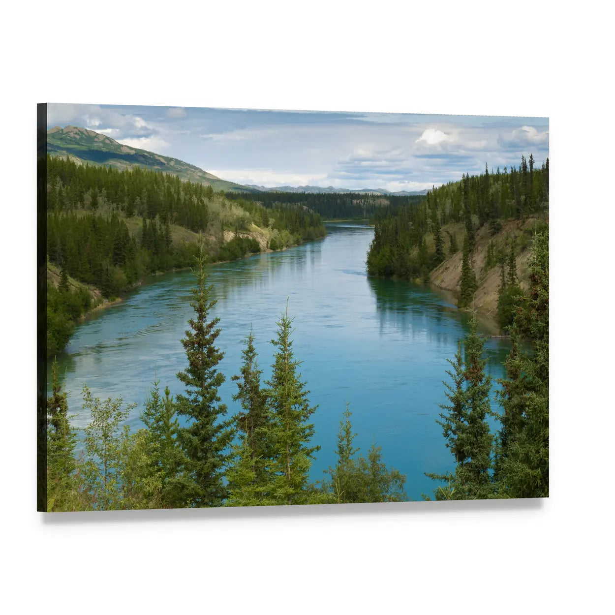 Yukon River Through Evergreen Forest Canvas Wall Art, single panel gallery wrapped canvas, angled product view