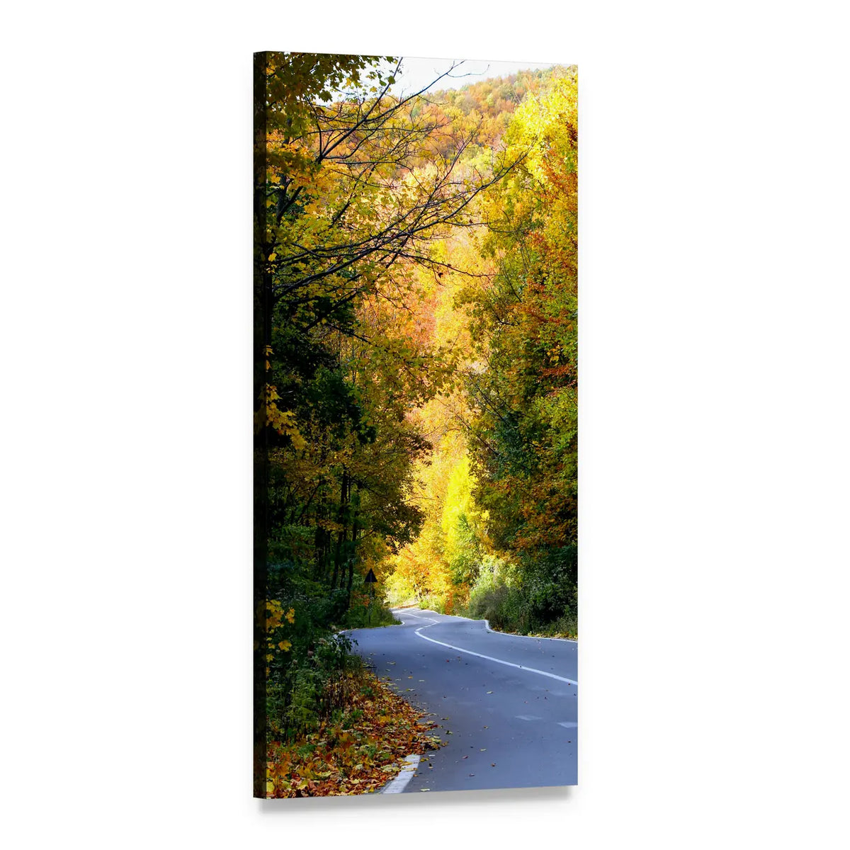 Curving Autumn Road in Mountain Forest Vertical Canvas Wall Art, 1 panel 1 Vertical layout gallery wrapped canvas set, angled product view