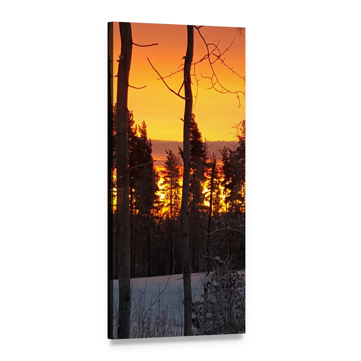 Snow-covered Forest at Sunset Vertical Canvas Wall Art, 1 panel 1 Vertical layout gallery wrapped canvas set, angled product view
