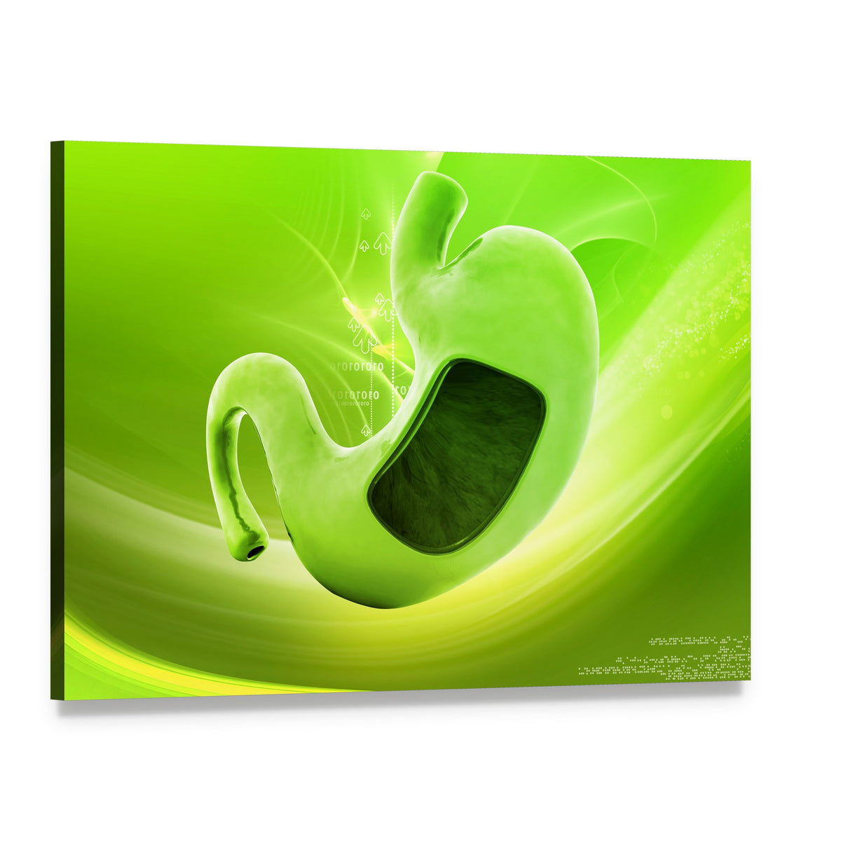 Cutaway Stomach Anatomy Illustration Canvas Wall Art, single panel gallery wrapped canvas, angled product view