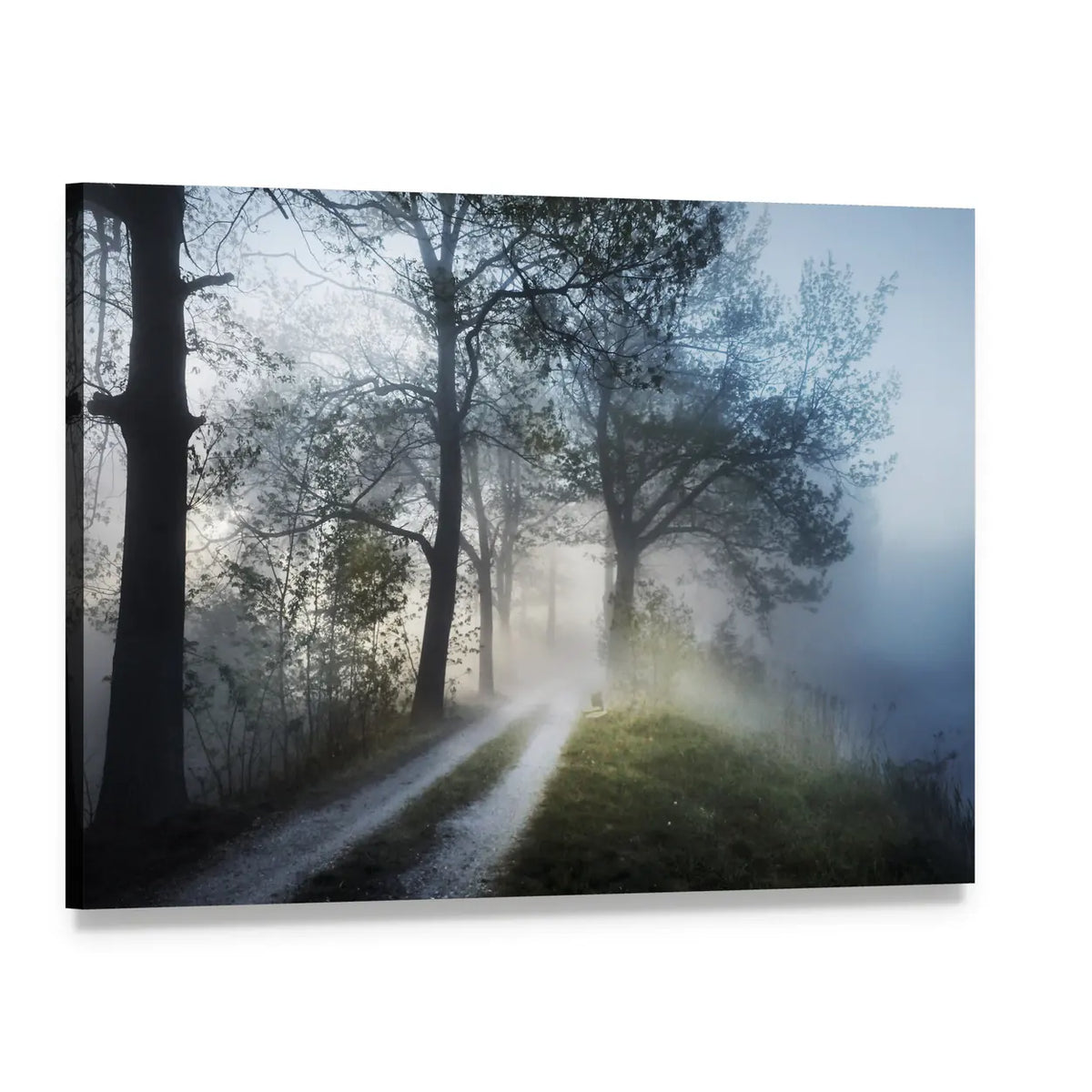 Foggy Forest Path at Sunrise Canvas Wall Art, single panel gallery wrapped canvas, angled product view