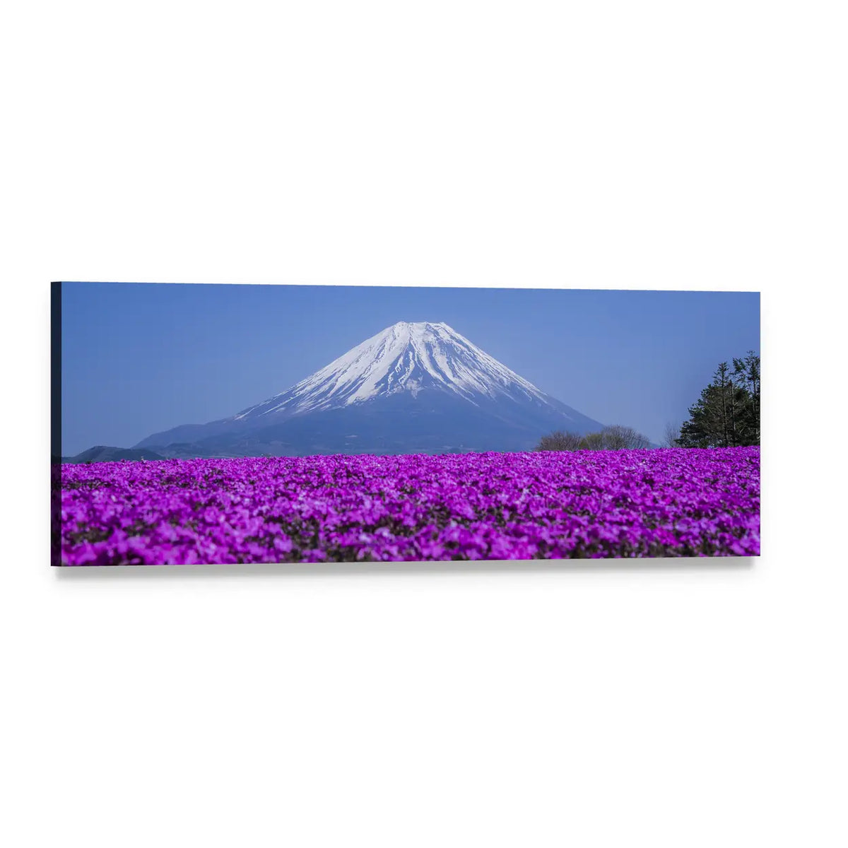 Mount Fuji in Spring Panoramic Canvas Wall Art, single panel gallery wrapped canvas, angled product view