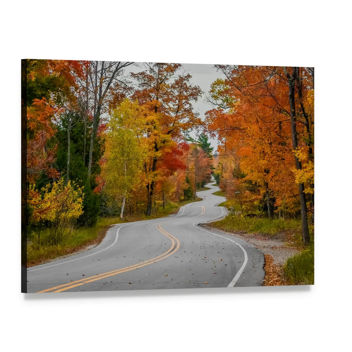 Winding Road In Wisconsin Canvas Wall Art, single panel gallery wrapped canvas, angled product view