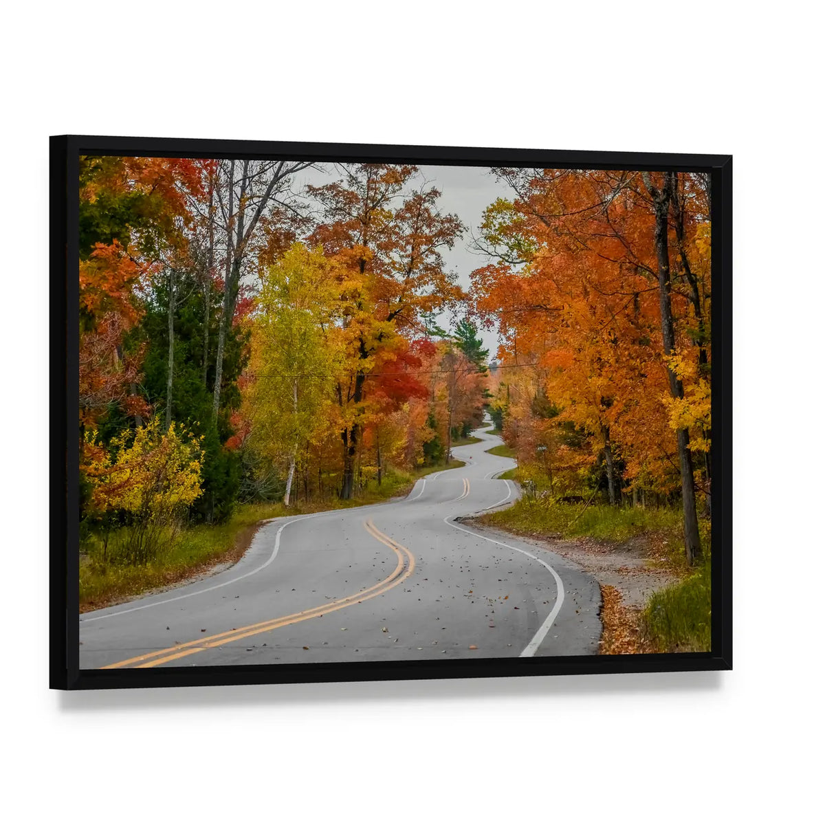 Winding Road In Wisconsin Canvas Wall Art, framed canvas in a black floater frame, angled product view
