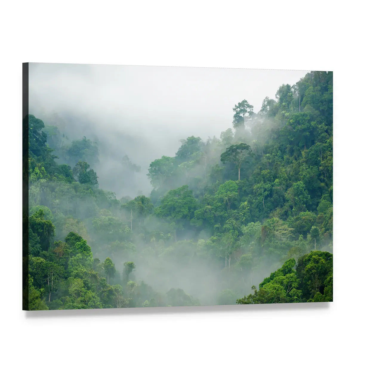 Kaeng Krachan In Thailand Canvas Wall Art, single panel gallery wrapped canvas, angled product view