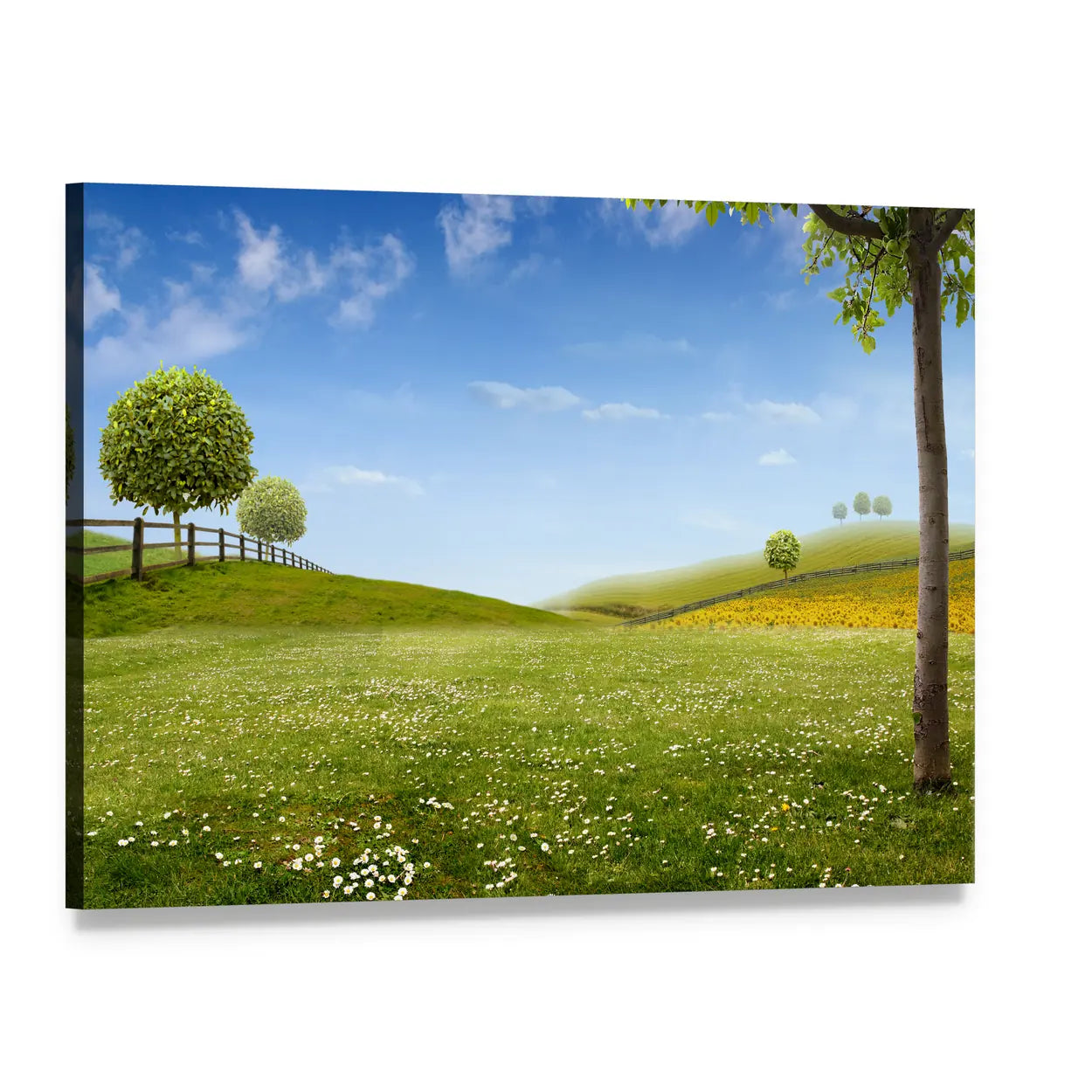 Summer Green Fields with Daisies Canvas Wall Art, single panel gallery wrapped canvas, angled product view