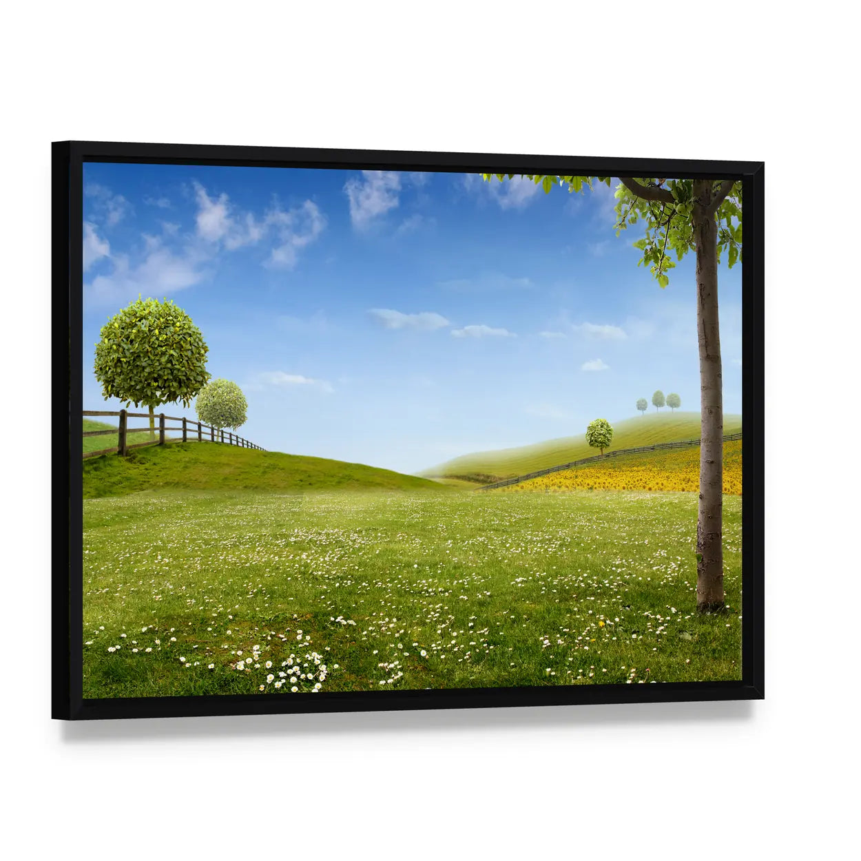Summer Green Fields with Daisies Canvas Wall Art, framed canvas in a black floater frame, angled product view