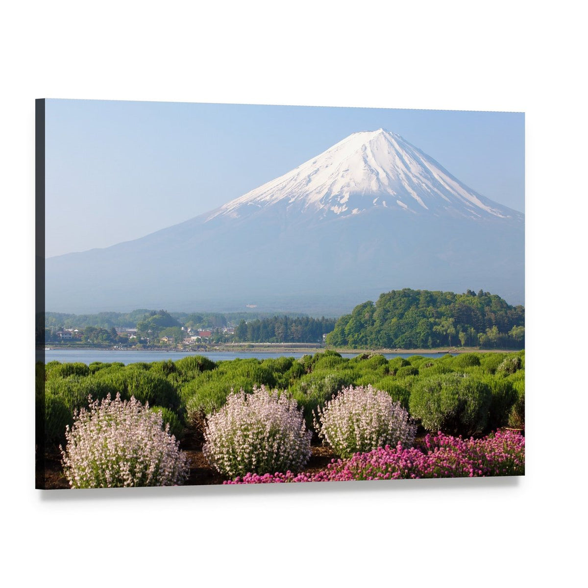 Snow-capped Mt Fuji with Spring Flowers Canvas Wall Art, single panel gallery wrapped canvas, angled product view