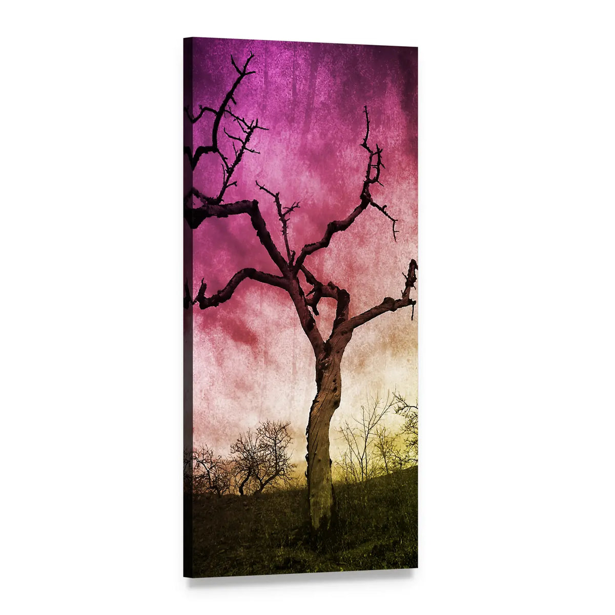 Gnarled Dead Almond Tree Vertical Canvas Wall Art, 1 panel 1 Vertical layout gallery wrapped canvas set, angled product view