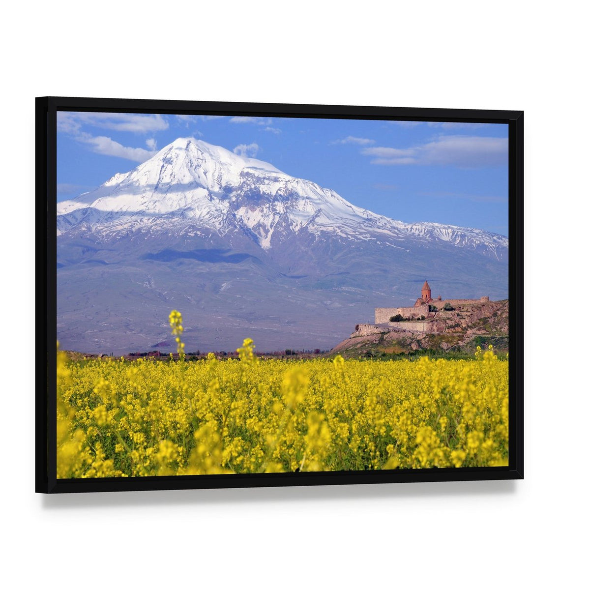 Ararat Mountain with Church and Yellow Field Canvas Wall Art, framed canvas in a black floater frame, angled product view