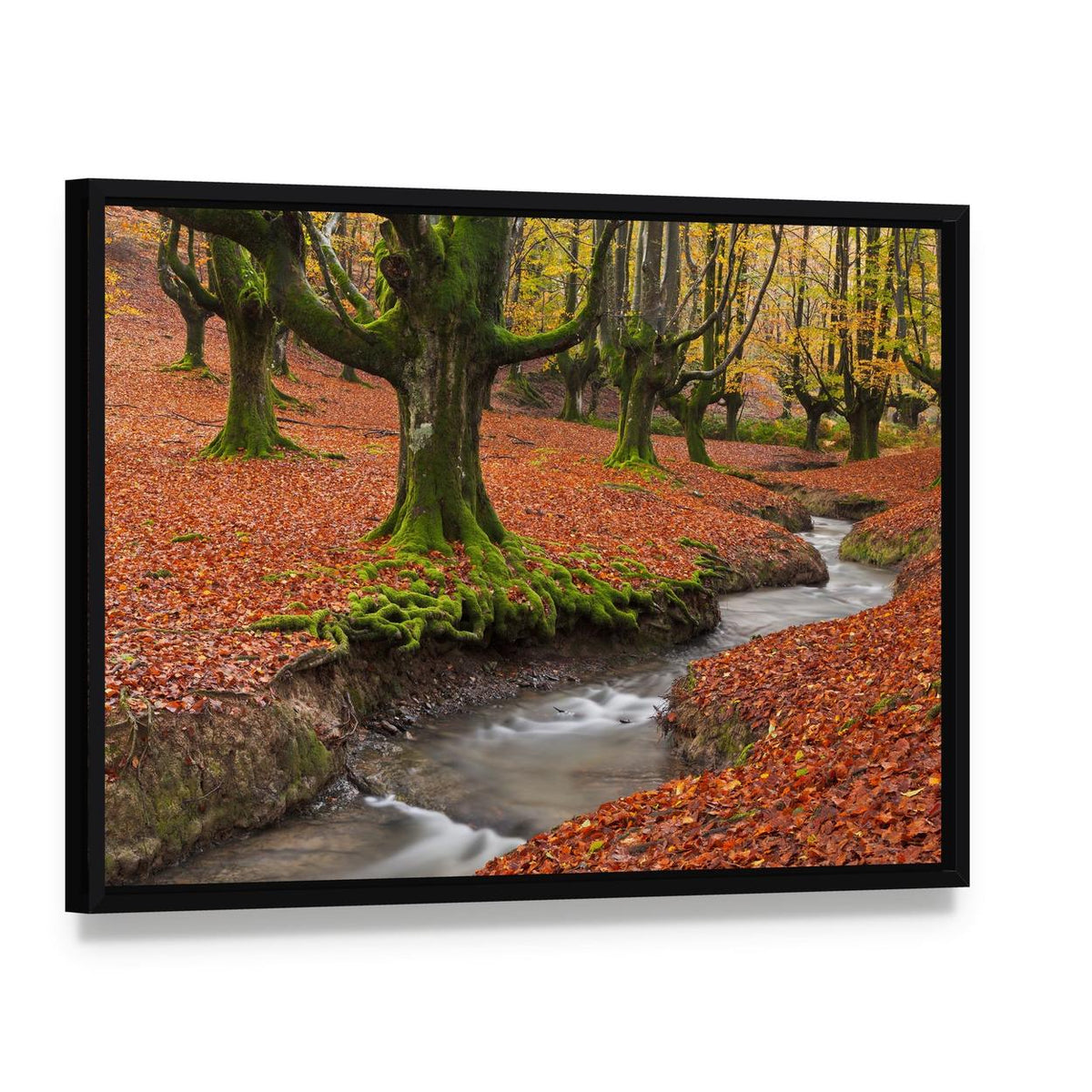 Autumn Forest Stream with Mossy Trees Canvas Wall Art, framed canvas in a black floater frame, angled product view