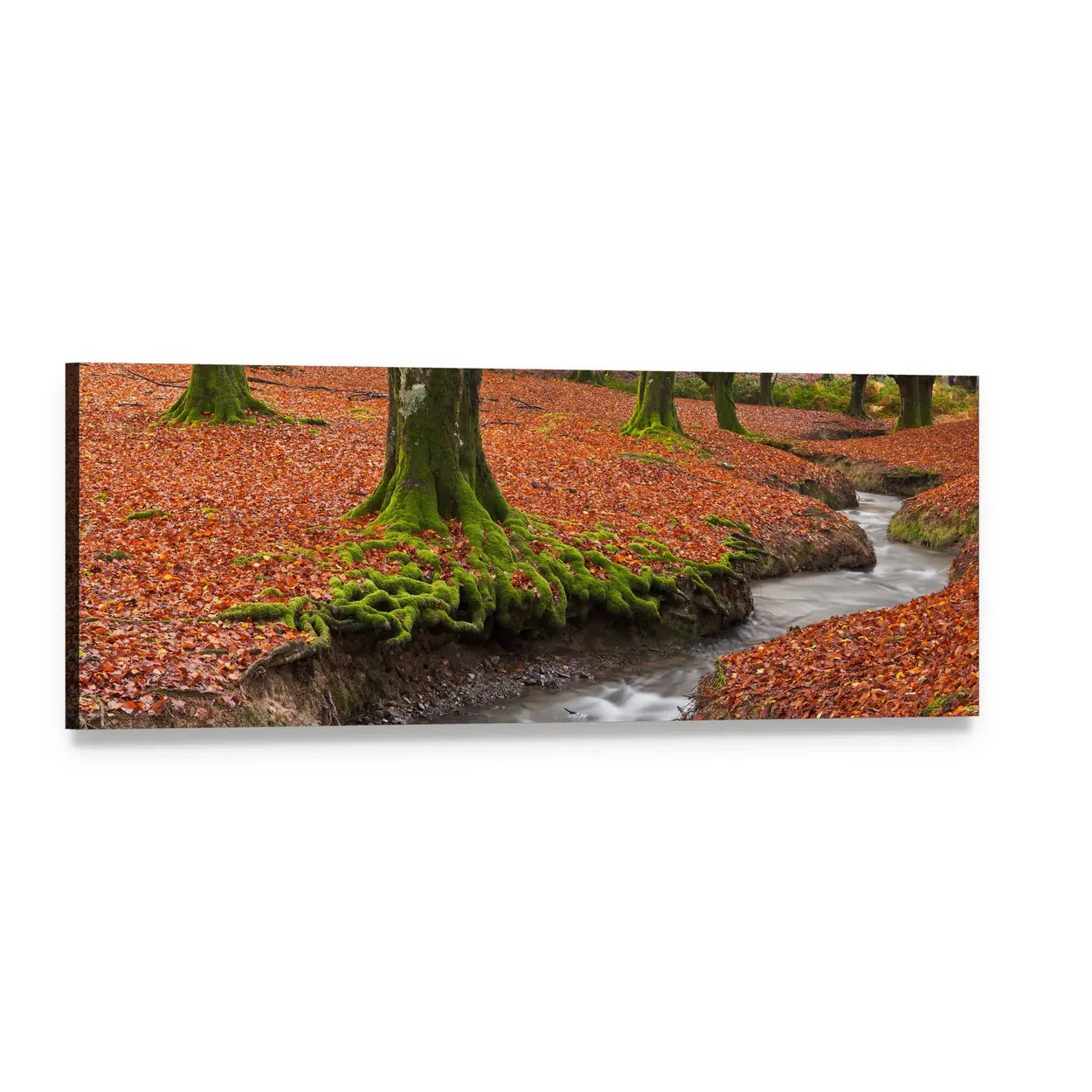 Autumn Forest with Flowing Stream Panoramic Canvas Wall Art, single panel gallery wrapped canvas, angled product view