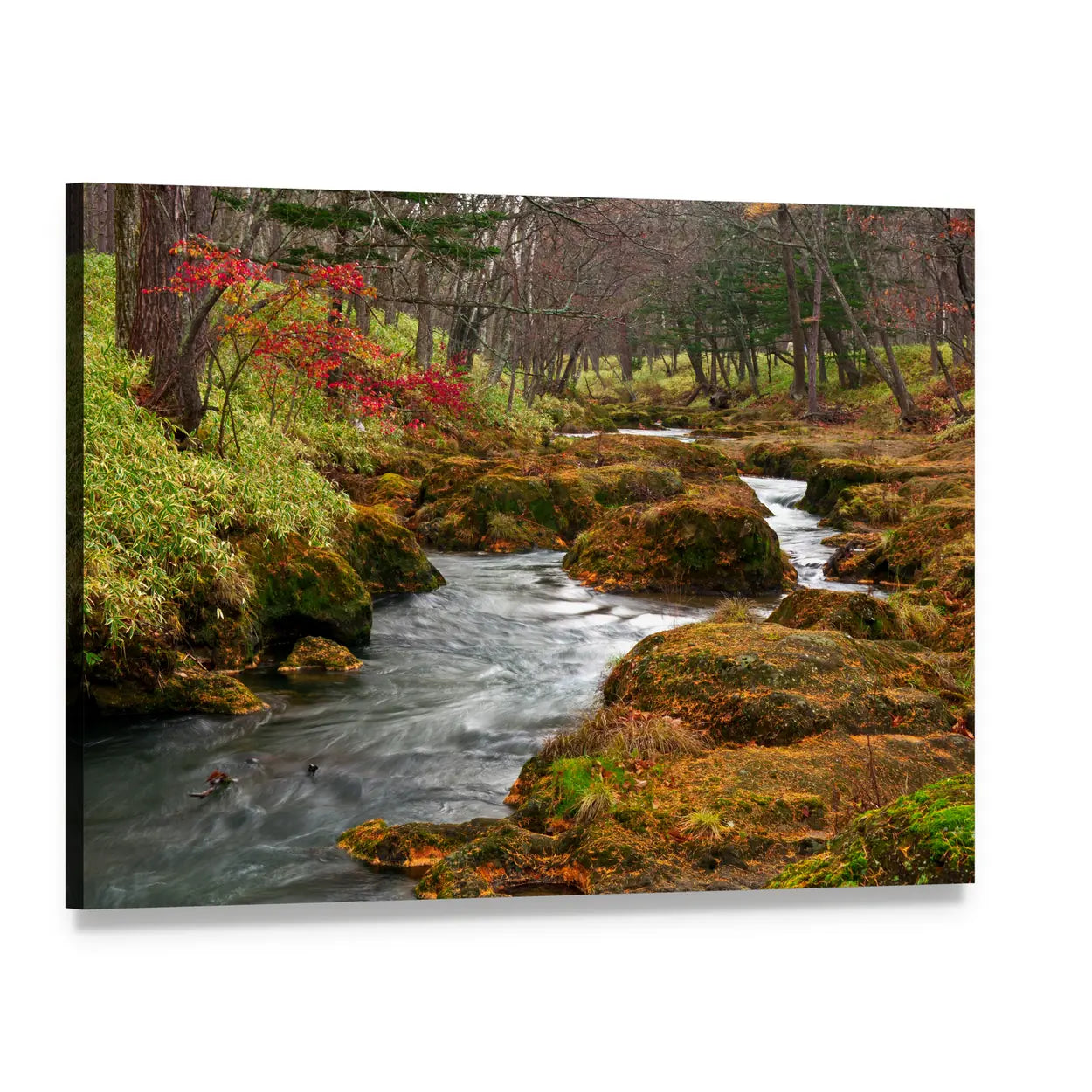 Misty Forest River with Moss-covered Rocks Canvas Wall Art, single panel gallery wrapped canvas, angled product view