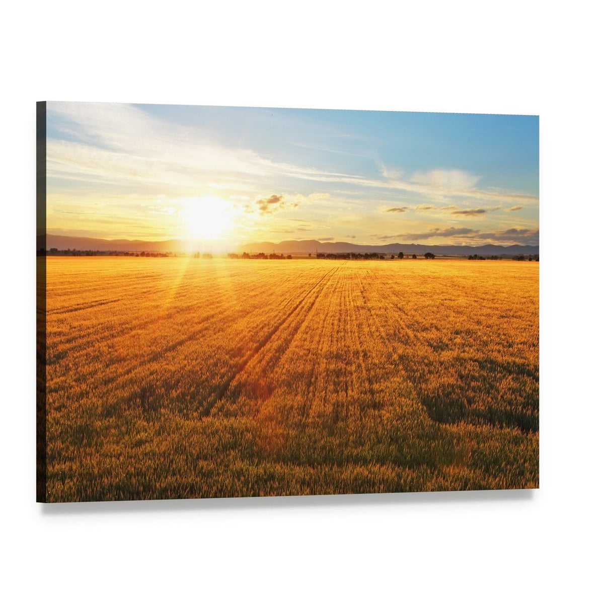 Sunset Over Wheat Field Canvas Wall Art, single panel gallery wrapped canvas, angled product view