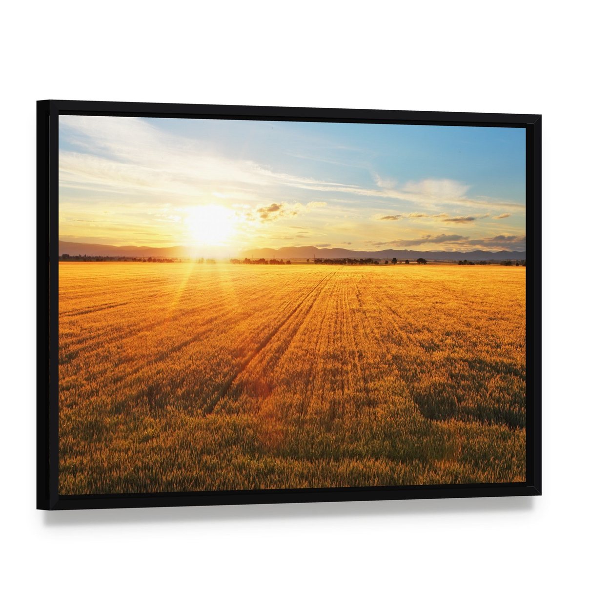 Sunset Over Wheat Field Canvas Wall Art, framed canvas in a black floater frame, angled product view
