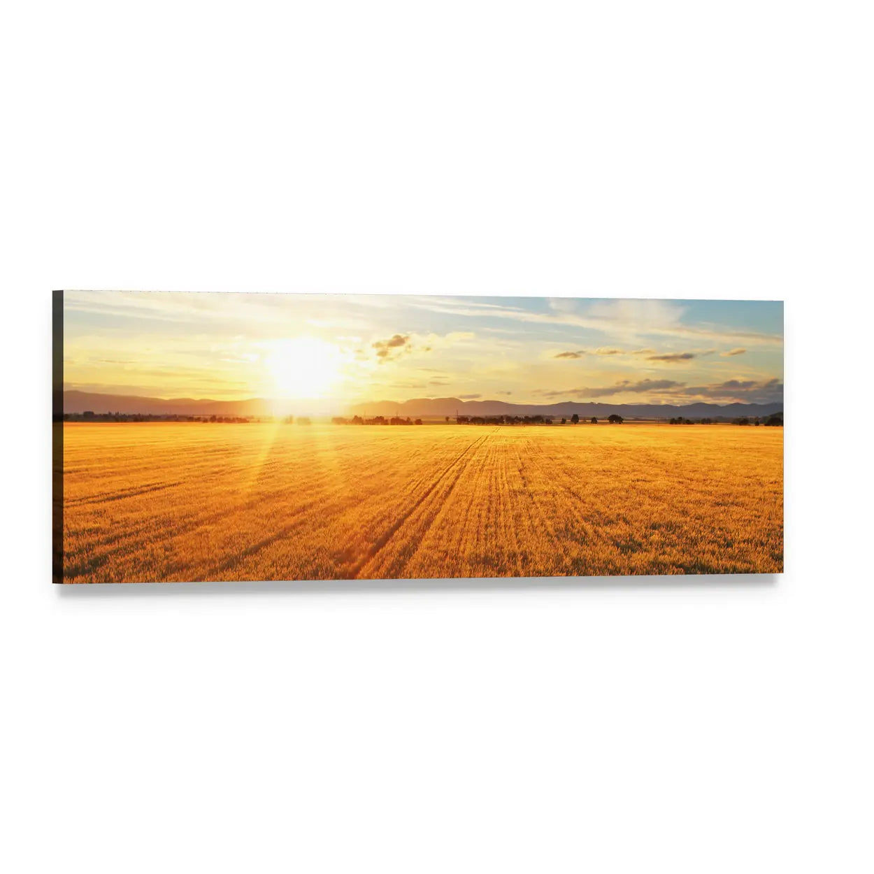 Sunset Over Wheat Field Panoramic Canvas Wall Art, single panel gallery wrapped canvas, angled product view