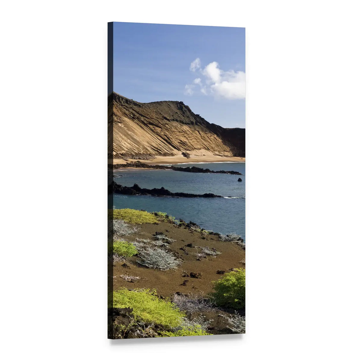 Galapagos Islands Coastal Cliffs, Ecuador Vertical Canvas Wall Art, 1 panel 1 Vertical layout gallery wrapped canvas set, angled product view