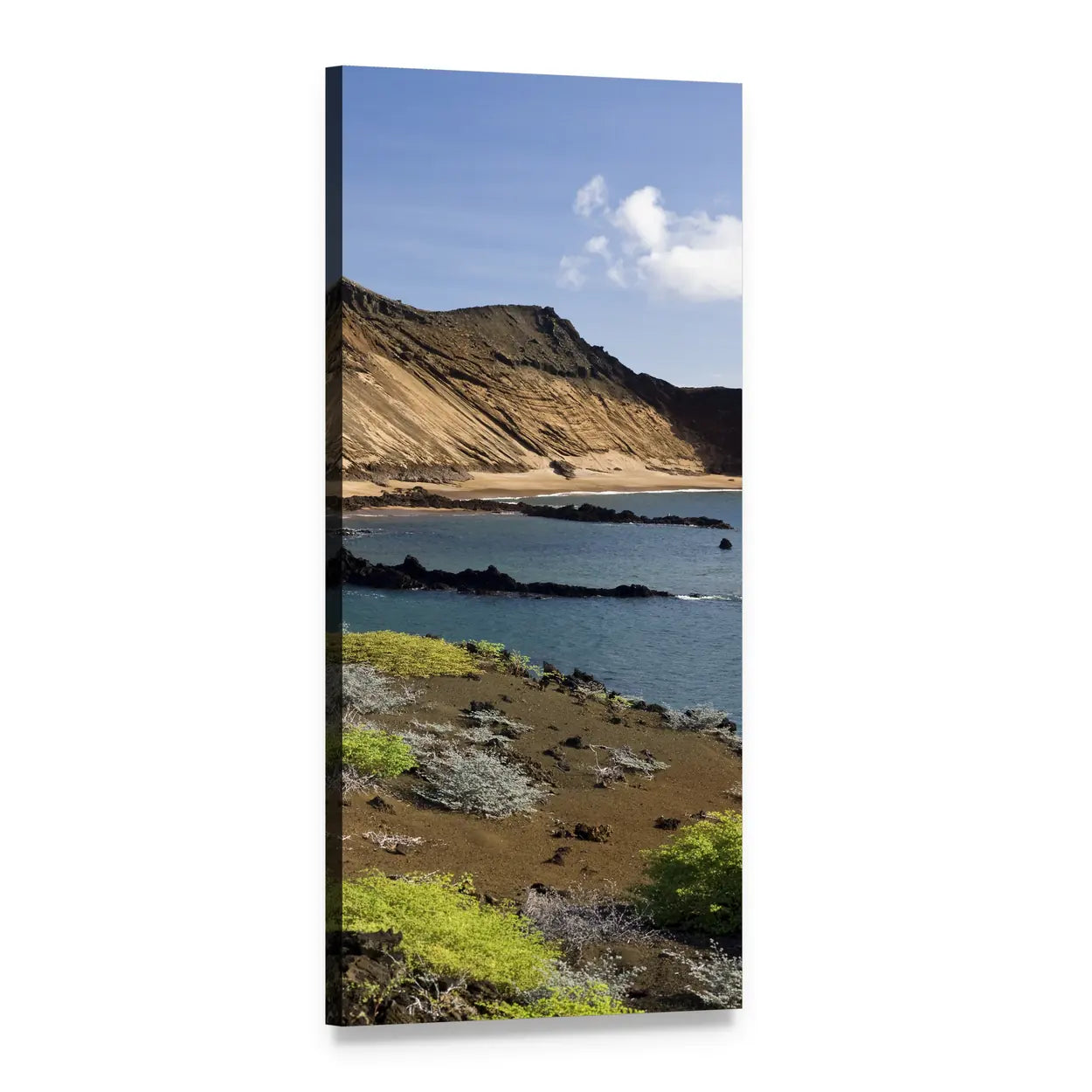 Galapagos Islands Coastal Cliffs, Ecuador Vertical Canvas Wall Art, 1 panel 1 Vertical layout gallery wrapped canvas set, angled product view