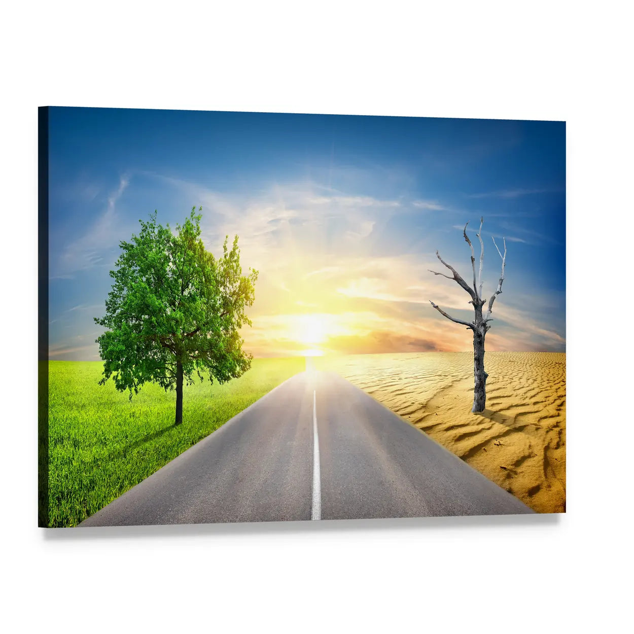 Global Warming Split: Lush Land and Parched Desert Canvas Wall Art, single panel gallery wrapped canvas, angled product view