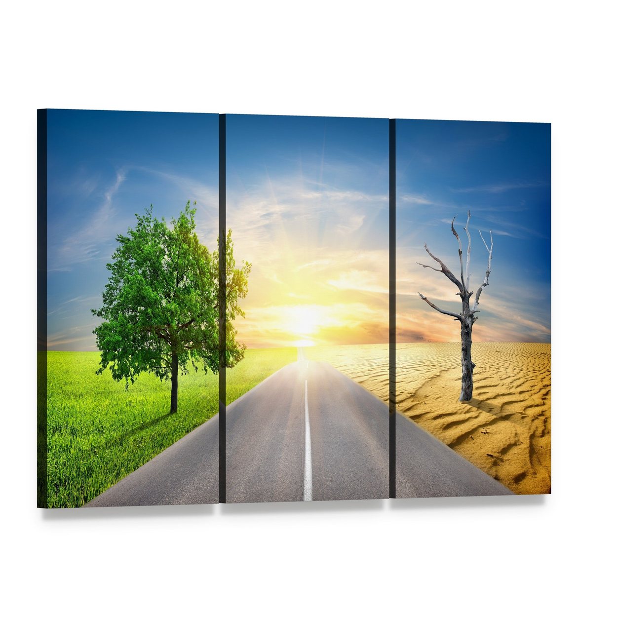 Global Warming's Stark Contrast Canvas Wall Art, 3 panel 3 Horizontal layout gallery wrapped canvas set, angled product view