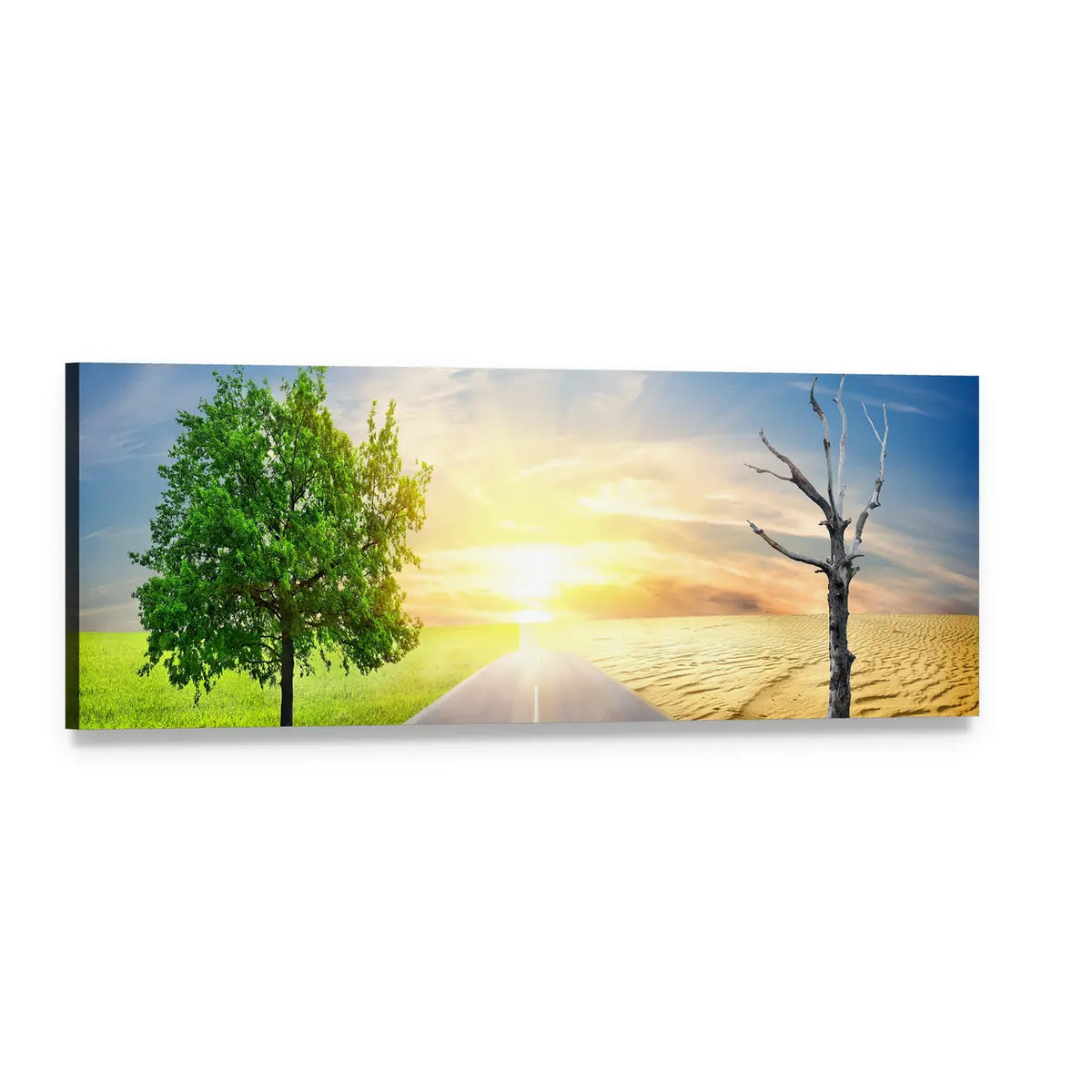 Field and Desert: Global Warming Sunrise Panoramic Canvas Wall Art, single panel gallery wrapped canvas, angled product view
