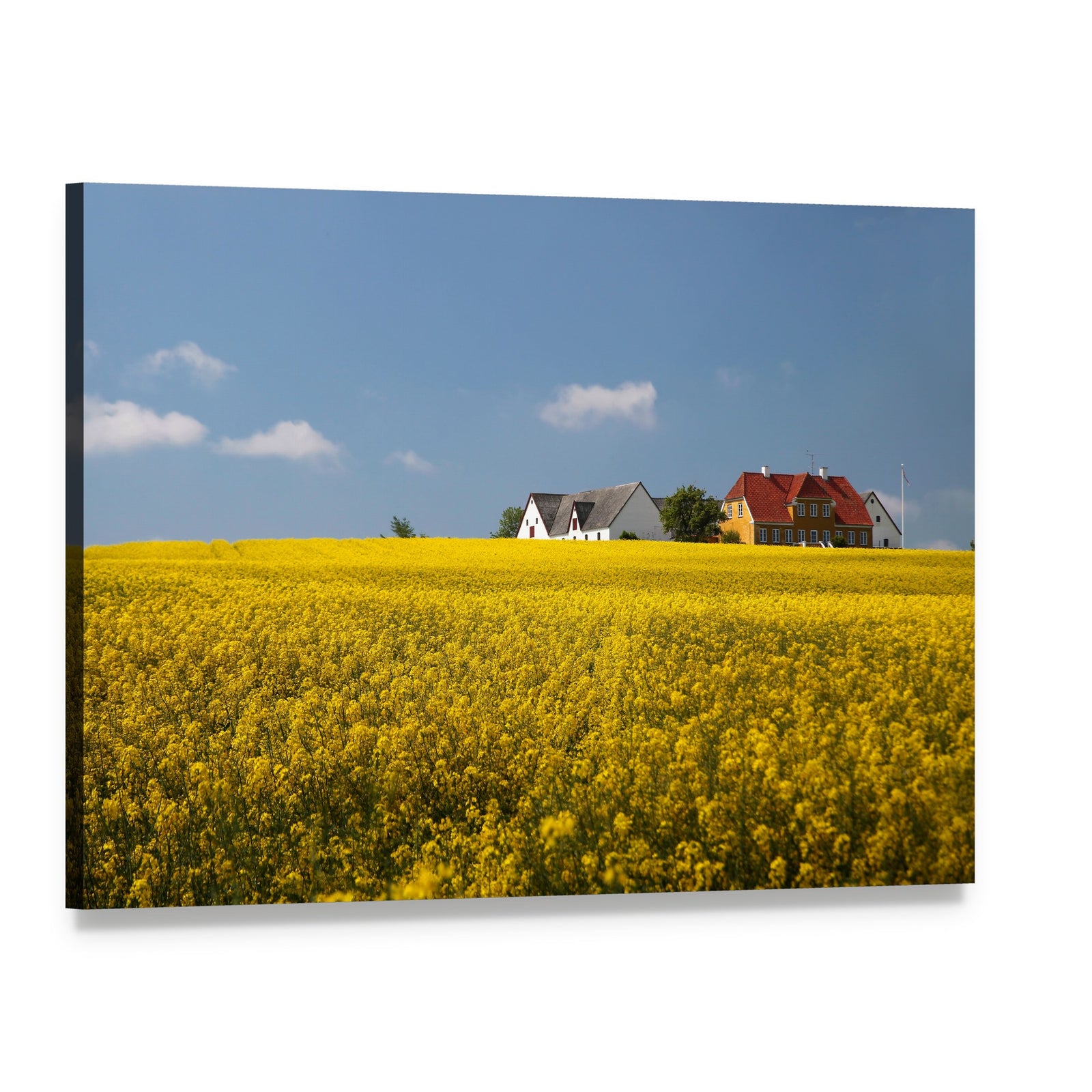 Farmhouses in a Yellow Flower Field Canvas Wall Art, single panel gallery wrapped canvas, angled product view