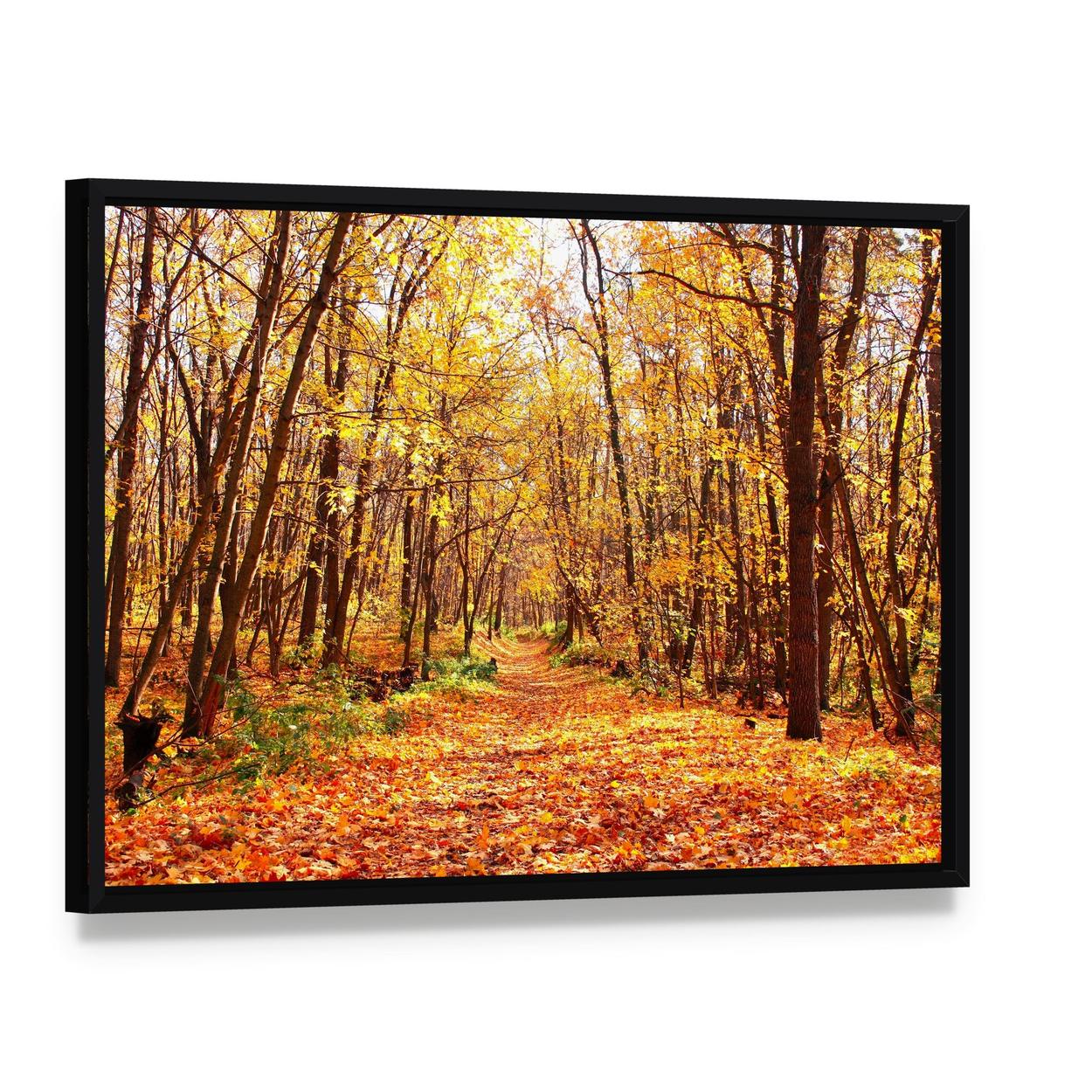 Autumn Forest Landscape Canvas Wall Art, framed canvas in a black floater frame, angled product view