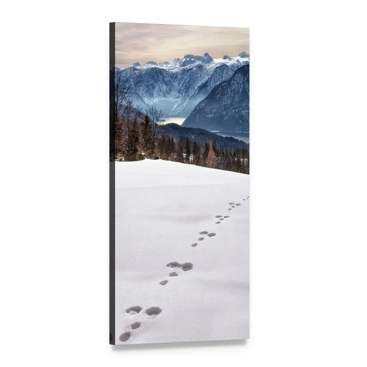 Paw Prints Toward Snow-capped Mountains Vertical Canvas Wall Art, 1 panel 1 Vertical layout gallery wrapped canvas set, angled product view