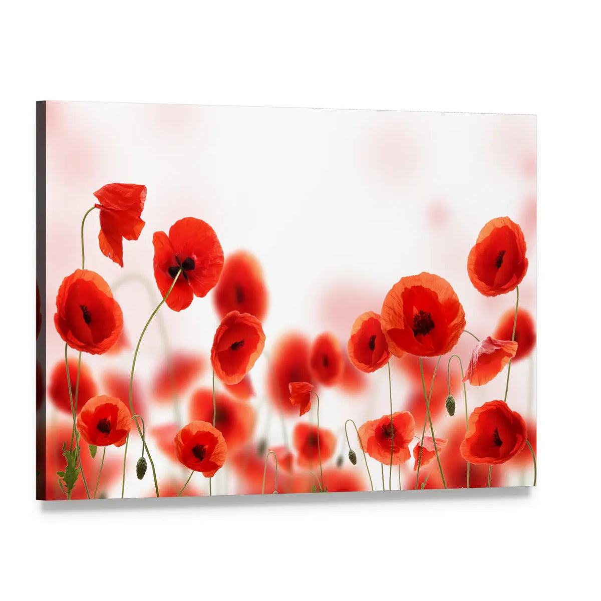 Poppy Flowers Field Canvas Wall Art, single panel gallery wrapped canvas, angled product view