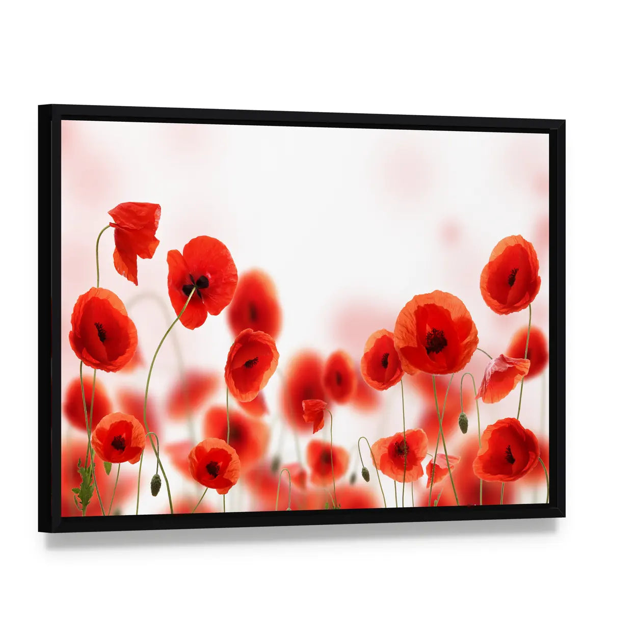 Poppy Flowers Field Canvas Wall Art, framed canvas in a black floater frame, angled product view