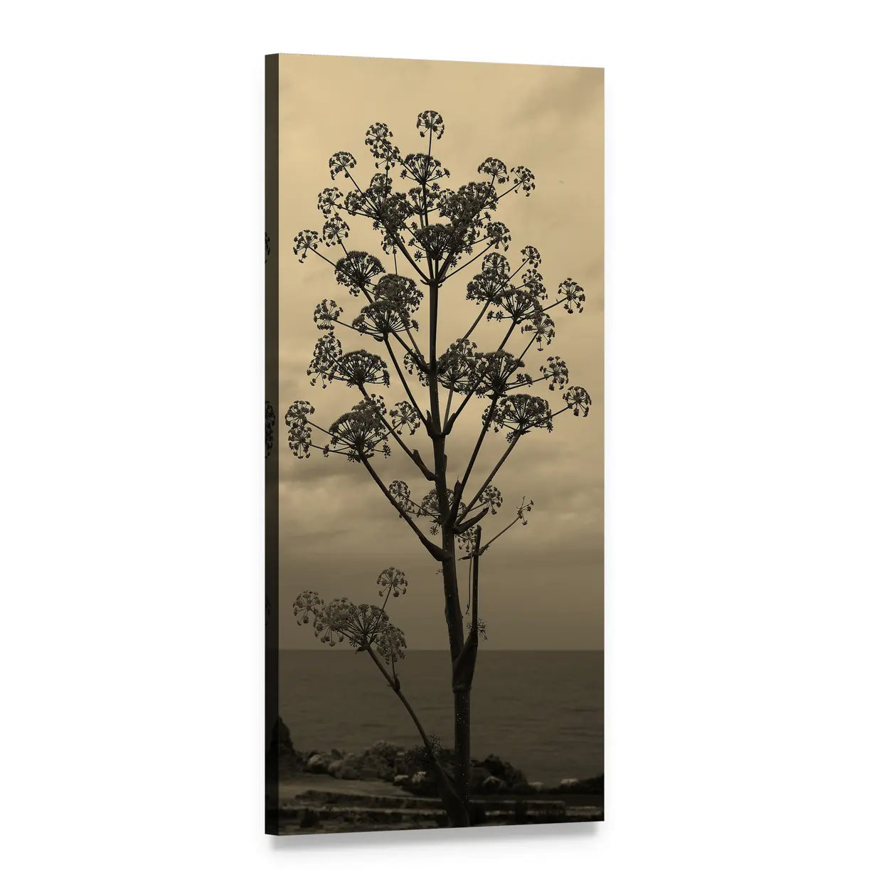 Corsican Beach with Silhouetted Sea Fennel Vertical Canvas Wall Art, 1 panel 1 Vertical layout gallery wrapped canvas set, angled product view