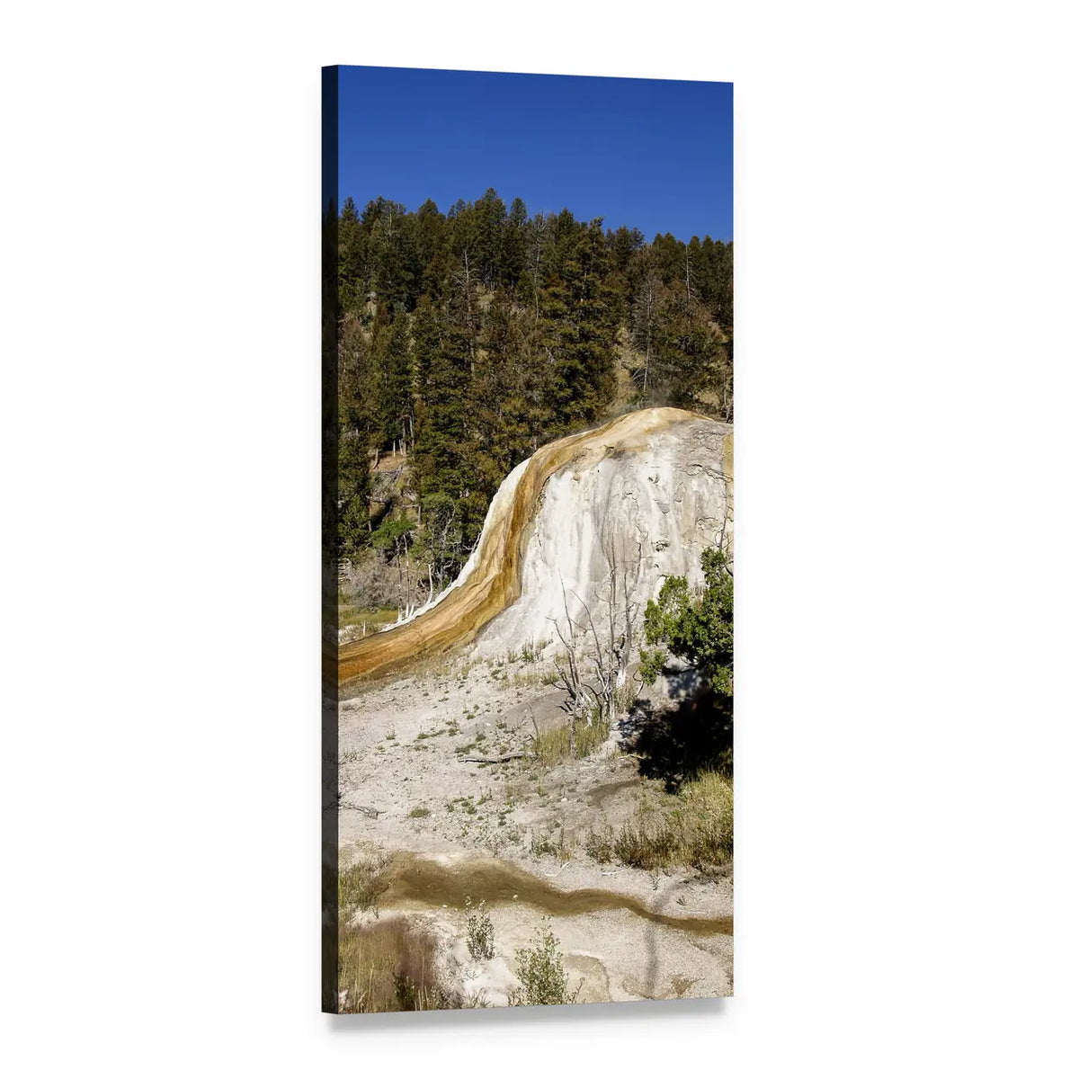 Yellowstone Travertine Terrace and Pine Forest Vertical Canvas Wall Art, 1 panel 1 Vertical layout gallery wrapped canvas set, angled product view