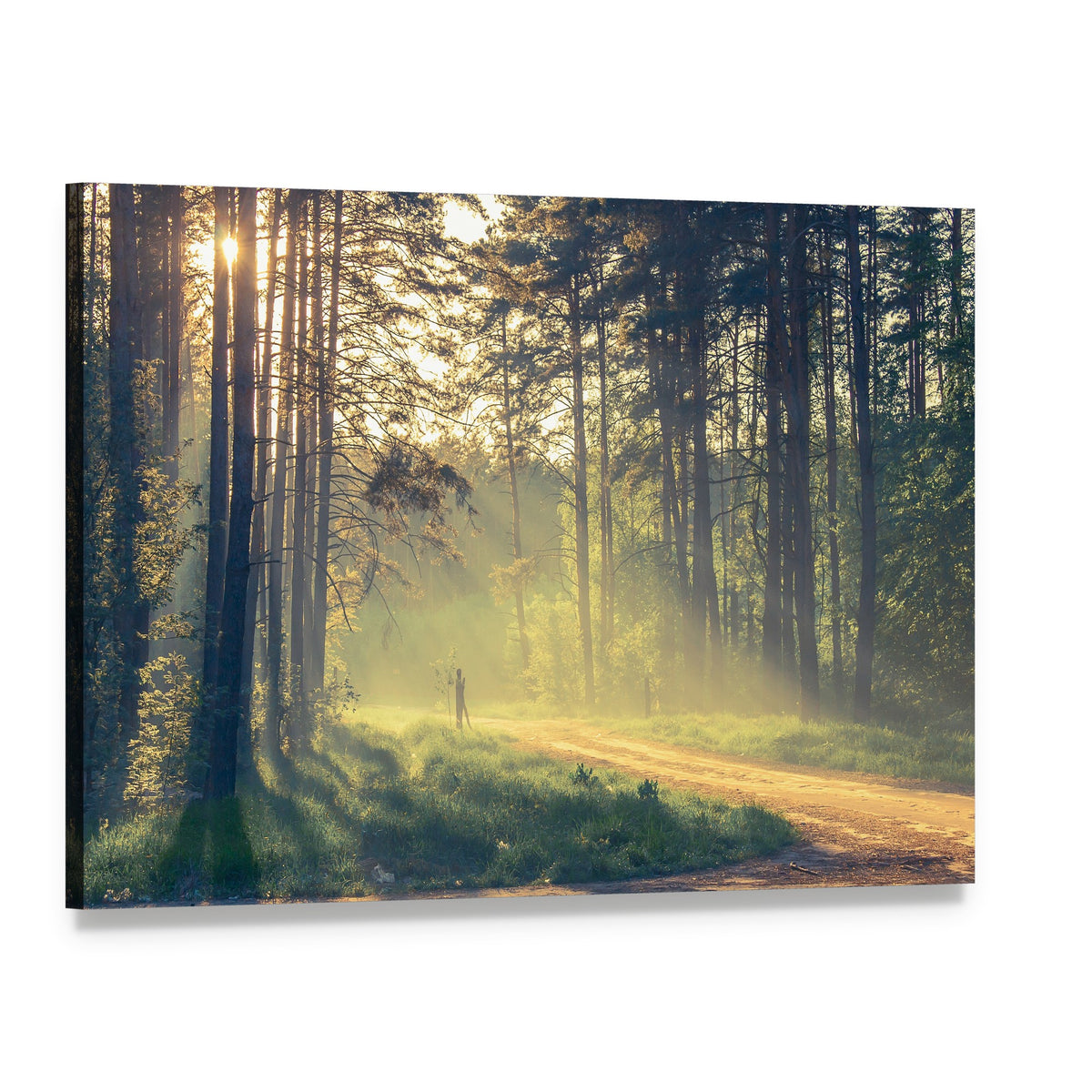Evening Forest Path with Sunlight Canvas Wall Art, single panel gallery wrapped canvas, angled product view