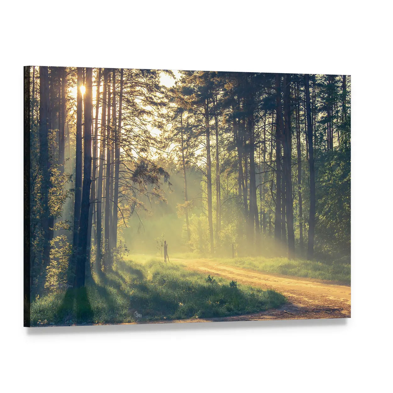 Forest Path with Golden Sunbeams Canvas Wall Art, single panel gallery wrapped canvas, angled product view