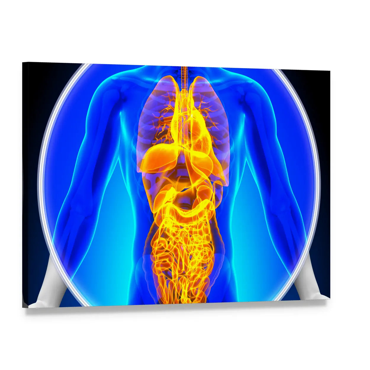 X-ray Scan of Human Organs Canvas Wall Art, single panel gallery wrapped canvas, angled product view