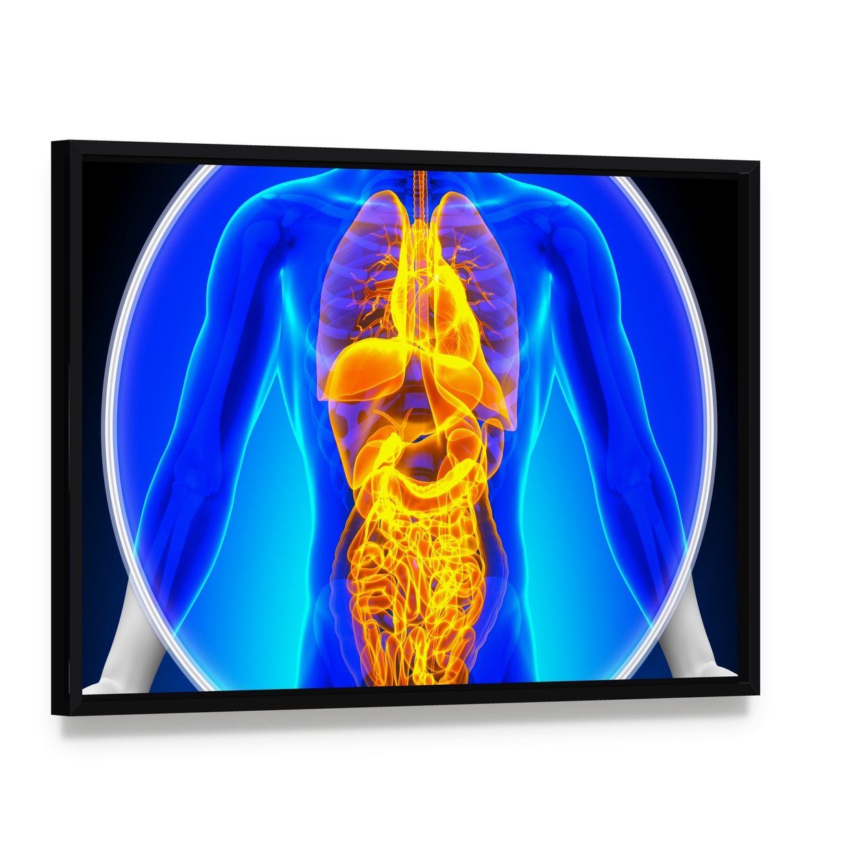 Anatomical X-ray of Human Organs Canvas Wall Art, framed canvas in a black floater frame, angled product view