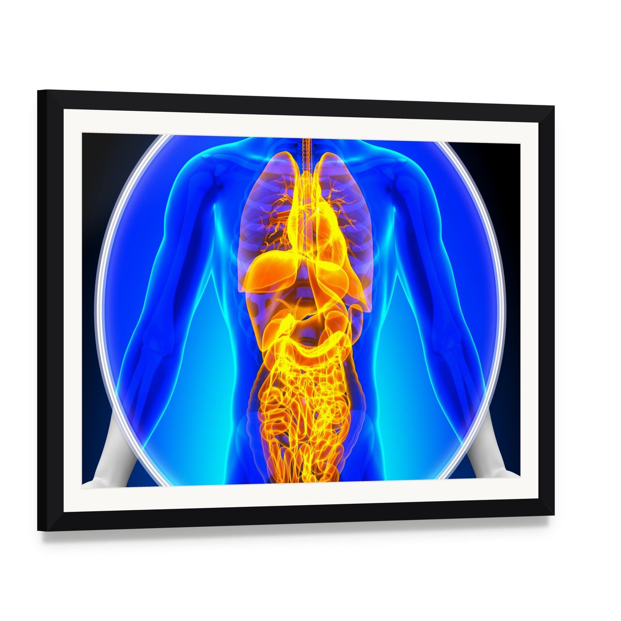 Anatomical X-ray of Human Organs Canvas Wall Art, framed print with white mat and black frame, angled product view
