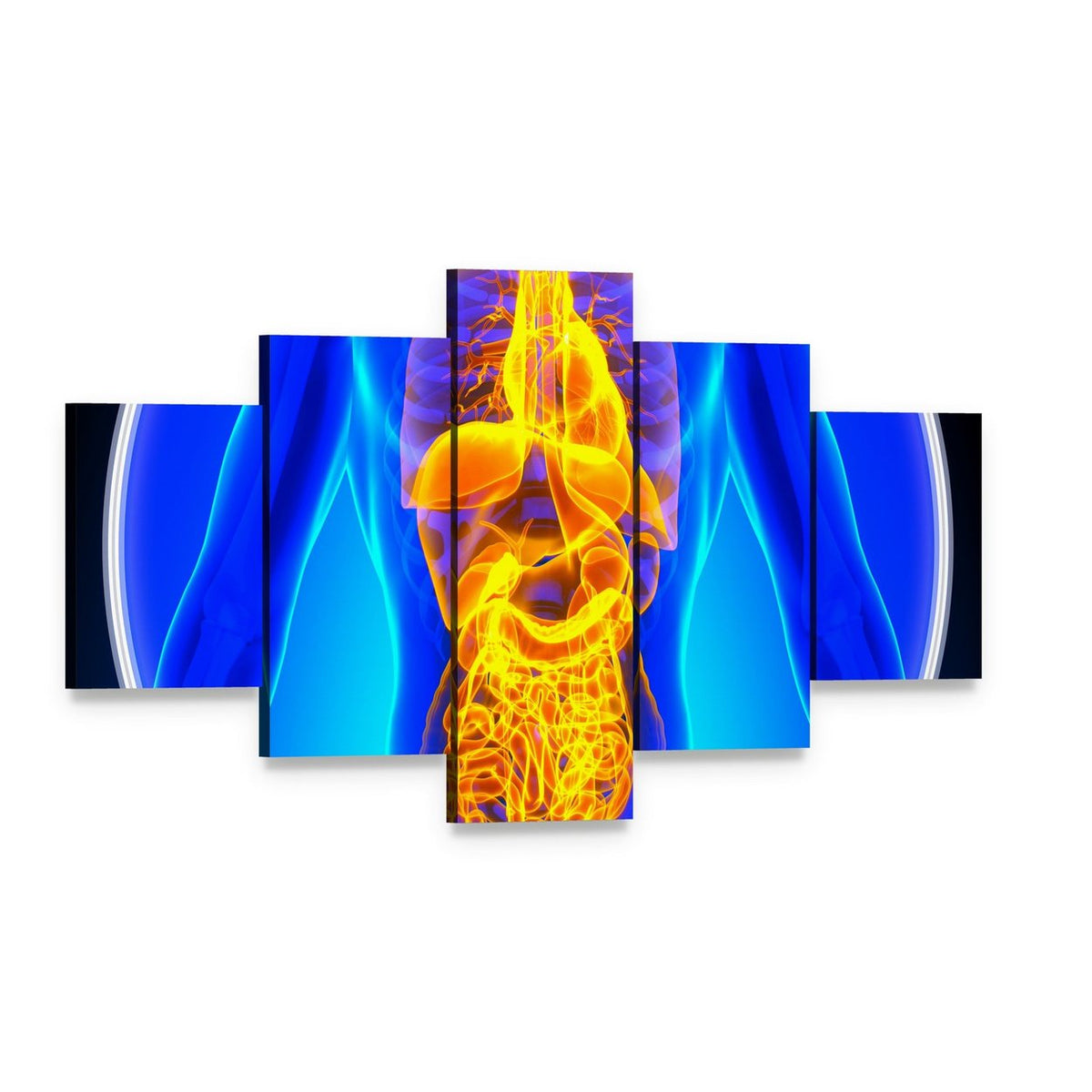 Anatomical X-ray of Human Organs Canvas Wall Art, 5 panel 5 Star layout gallery wrapped canvas set, angled product view